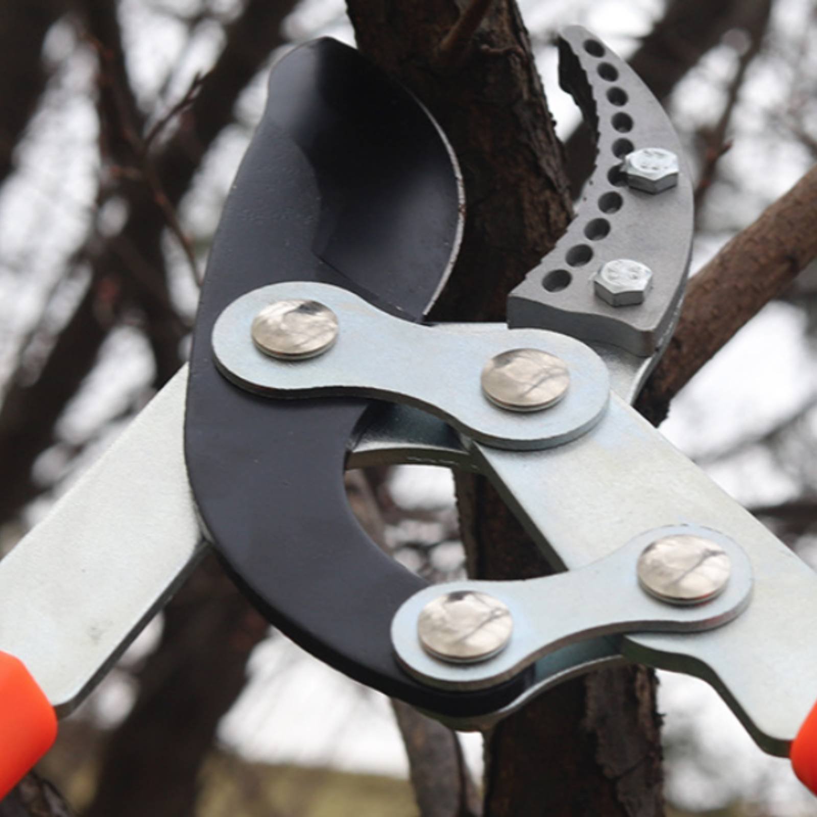 Telescopic Branch Pruners Shar - огляд і ціна Garden Tools